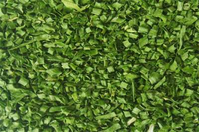 小米葱 小米葱